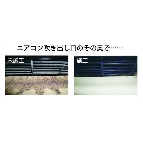 Linda 防カビ抗菌コートPLUS 2kg