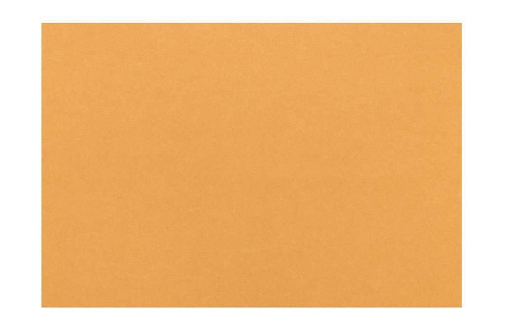 テーブルマット 里紙(100枚入) びわ No.1101