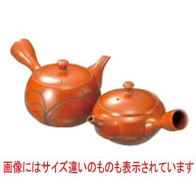 急須 G-1 1.3号 240cc /業務用/新品