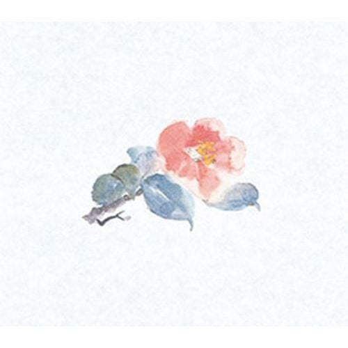 鮮度保持紙(大) 椿(100枚入) 縦16.5×横18.5(cm)