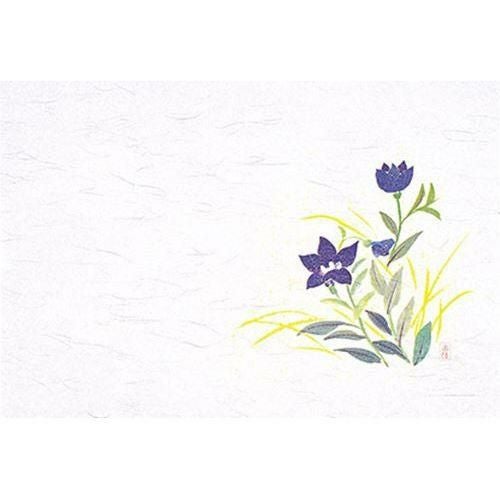 千寿 ききょう(100枚入) 縦26.5×横39(cm)