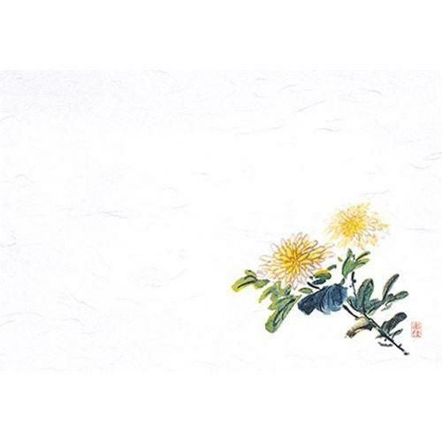 千寿 菊(100枚入) 縦26.5×横39(cm)