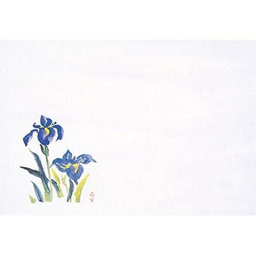 富久寿尺五 あやめ(100枚入) 縦31×横45(cm)