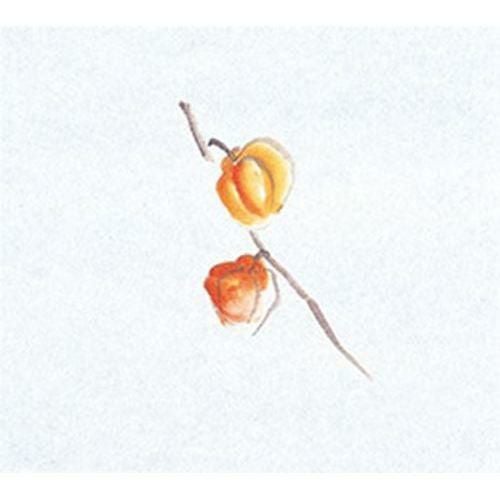 鮮度保持紙(大) ほおずき(100枚入) 縦16.5×横18.5(cm)