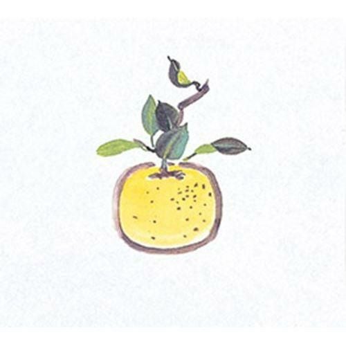 鮮度保持紙(大) ゆず(100枚入) 縦16.5×横18.5(cm)