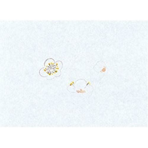 鮮度保持紙(小) 梅(100枚入) 縦13×横18(cm)
