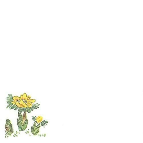 耐油懐敷 15角 福寿草(100枚入) 縦15×横15(cm)