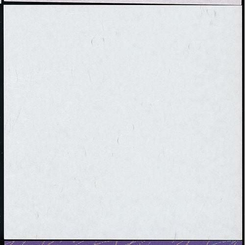 きりうり懐敷 食品銀龍 白(100枚入) 縦15×横15(cm)