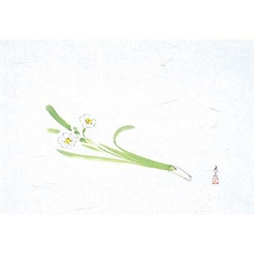 萬寿 水仙(100枚入) 縦26.5×横39(cm)
