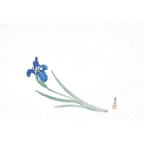 萬寿 あやめ(100枚入) 縦26.5×横39(cm)