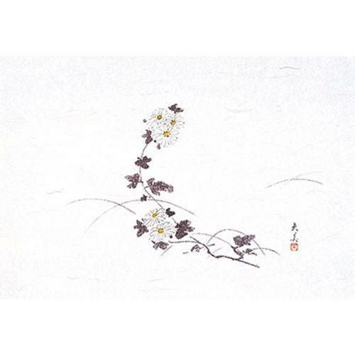 萬寿 菊(100枚入) 縦26.5×横39(cm)