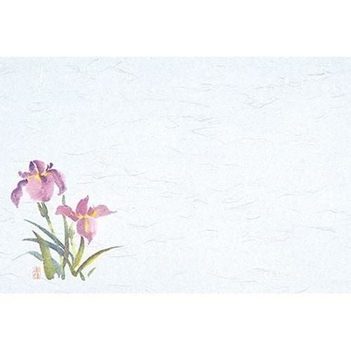 千寿 あやめ(100枚入) 縦26.5×横39(cm)