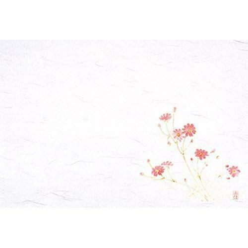 千寿 秋桜(100枚入) 縦26.5×横39(cm)