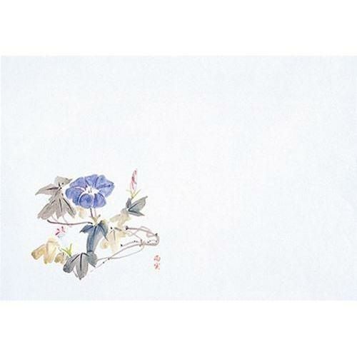 富久寿尺五 朝顔(100枚入) 縦31×横45(cm)