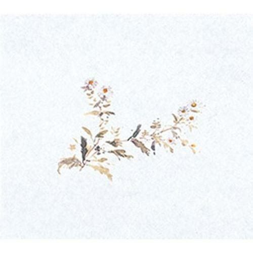 鮮度保持紙(大) 菊(100枚入) 縦16.5×横18.5(cm)