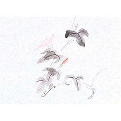 鮮度保持紙(小) 朝顔(100枚入) 縦13×横18(cm)