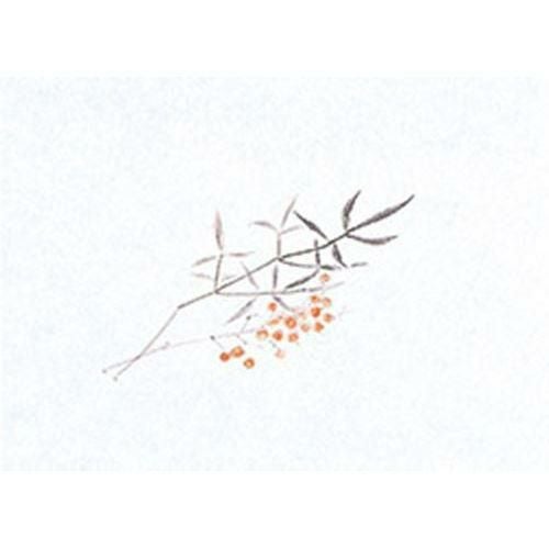 鮮度保持紙(小) 南天(100枚入) 縦13×横18(cm)