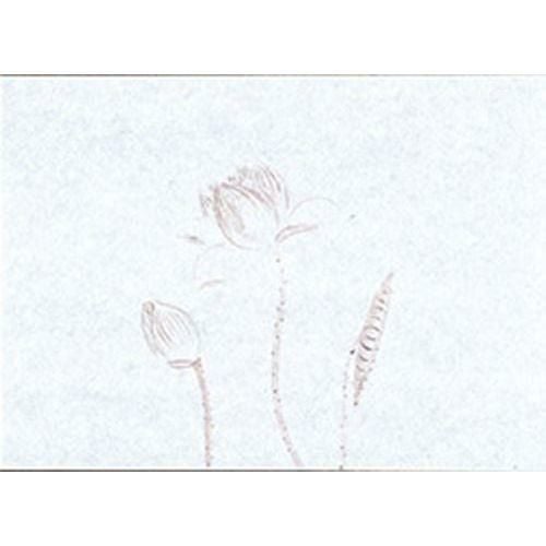 鮮度保持紙(小) はす(100枚入) 縦13×横18(cm)