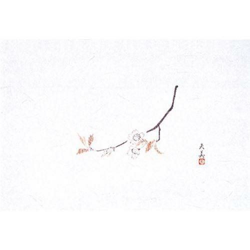 萬寿 桜(100枚入) 縦26.5×横39(cm)