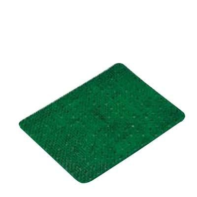 適湿低温ネタケース 人工芝(肉芝) 大 R-2