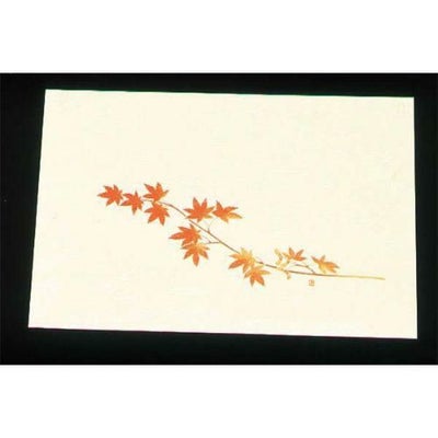 尺三 懐石まっと クリーム(100枚入)WSS-12 もみじ