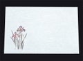 尺三 懐石まっと 抗菌遠赤和紙（100枚入） WS-11 あやめ 5月から6月 【同梱グループA】