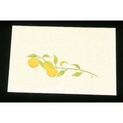 尺三 懐石まっと クリーム(100枚入)WSS-15 ゆず