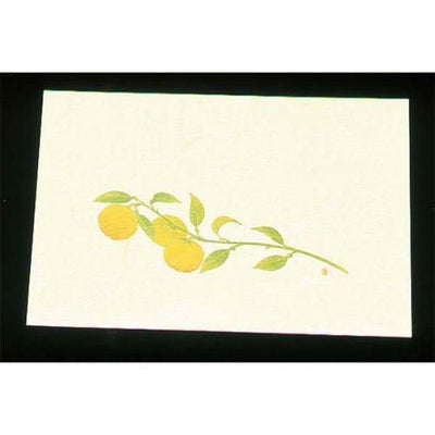 尺三 懐石まっと クリーム(100枚入)WSS-15 ゆず