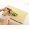 抗菌エラストマーまな板　ライトレギュラー　新品/小物送料対象商品
