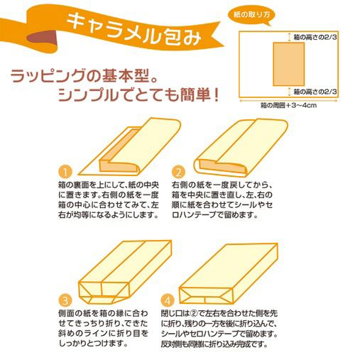 包装紙 ニュースペーパー 半才判 49-1429