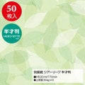 包装紙 シアーリーフ 半才判 49-1540