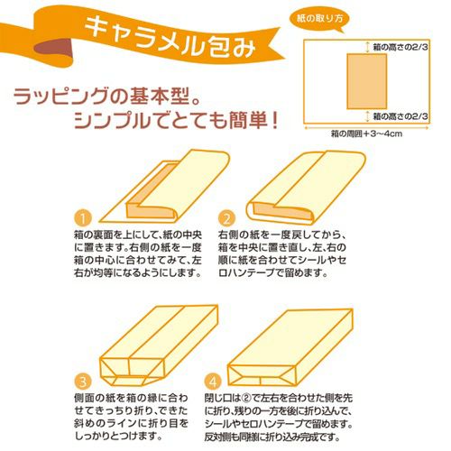 包装紙 レディローズ 全判 49-2501