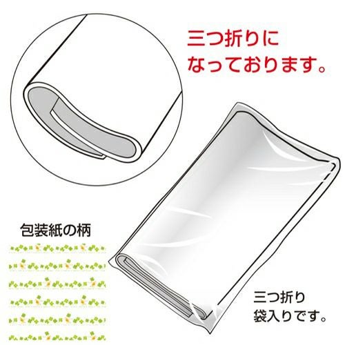 包装紙 ボンジュール 全判 49-2515