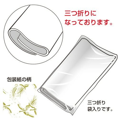 包装紙 飛翔 全判 49-2802