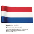 催事用リボン フランス 36 50-7605
