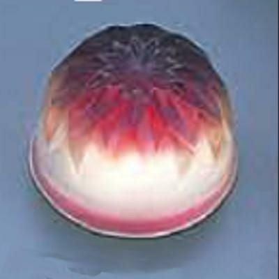 セラミック製錦玉型 (27)ダリア32cc