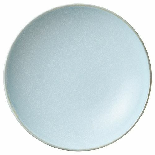 ライトブルー24cmボール φ24.5×5.4cm 453-219