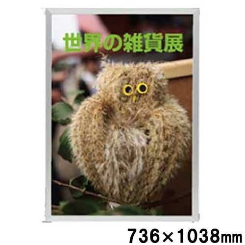 ハメパネ シルバー 53721 B1S