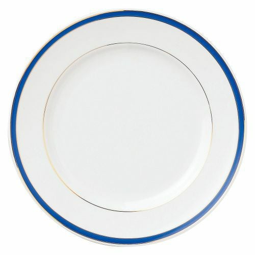 玉渕ブルーライン10吋ミート φ26.5×2.4cm 533-049