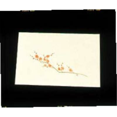 尺三 懐石まっと クリーム(100枚入)WSS-3 梅