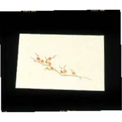 尺三 懐石まっと クリーム(100枚入)WSS-3 梅