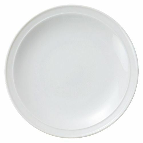 白中華丸7.0皿 φ22×3.3cm 584-039