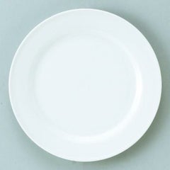 ダイヤセラム (強化) リム 10吋 大皿