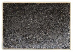 串皿16cm串皿(森羅)