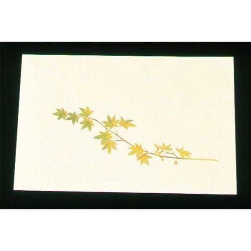 尺三 懐石まっと クリーム(100枚入)WSS-9 グリーンもみじ