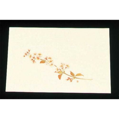 遠赤外線抗菌和紙 四季の花 尺三懐石まっとクリーム(100枚入) WSS-4 桜 2月から4月