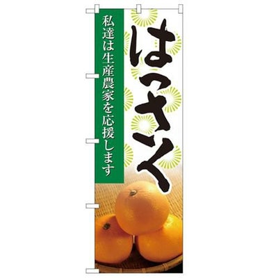 「はっさく 写真」 のぼり【N】