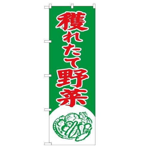 「穫れたて野菜」 のぼり【N】