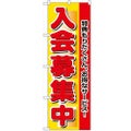 「入会募集中」 のぼり【N】