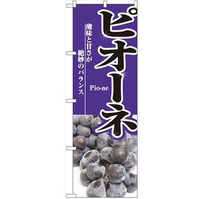 「ピオーネ」 のぼり【N】